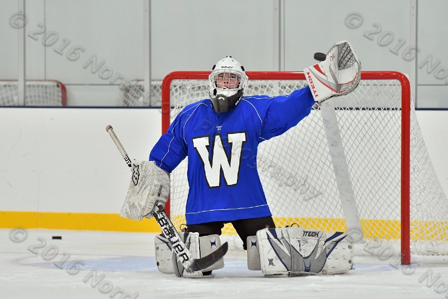 Wheaton College Men\'s Ice Hockey vs Middlesex Community College. - Photo By: KEITH NORDSTROM